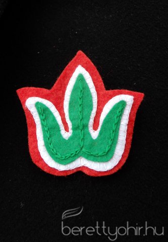 1848-49-es megemlékezés 20